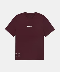 Bandit Men's Micromesh™ Run Tee - Fig