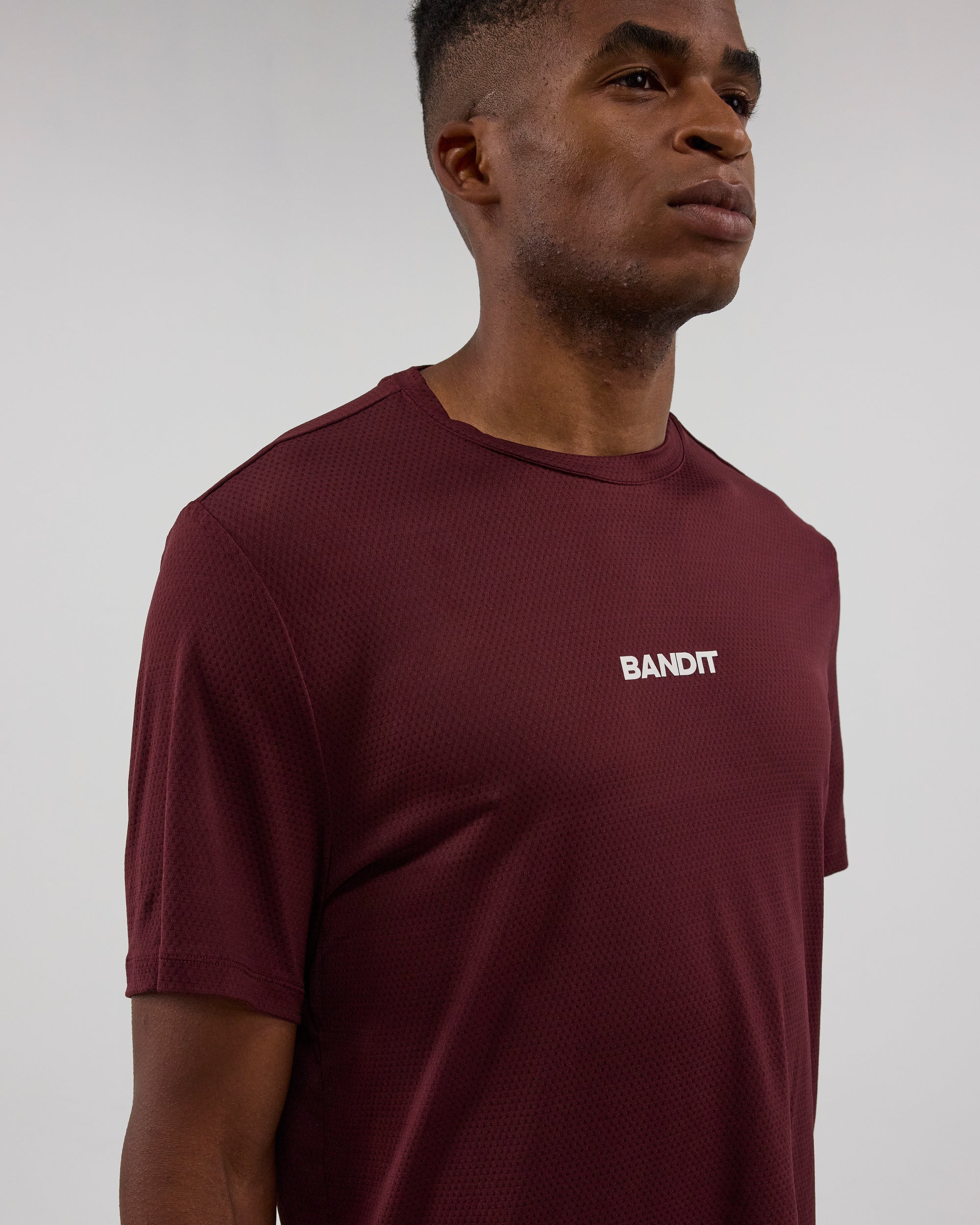Bandit Men's Micromesh™ Run Tee - Fig