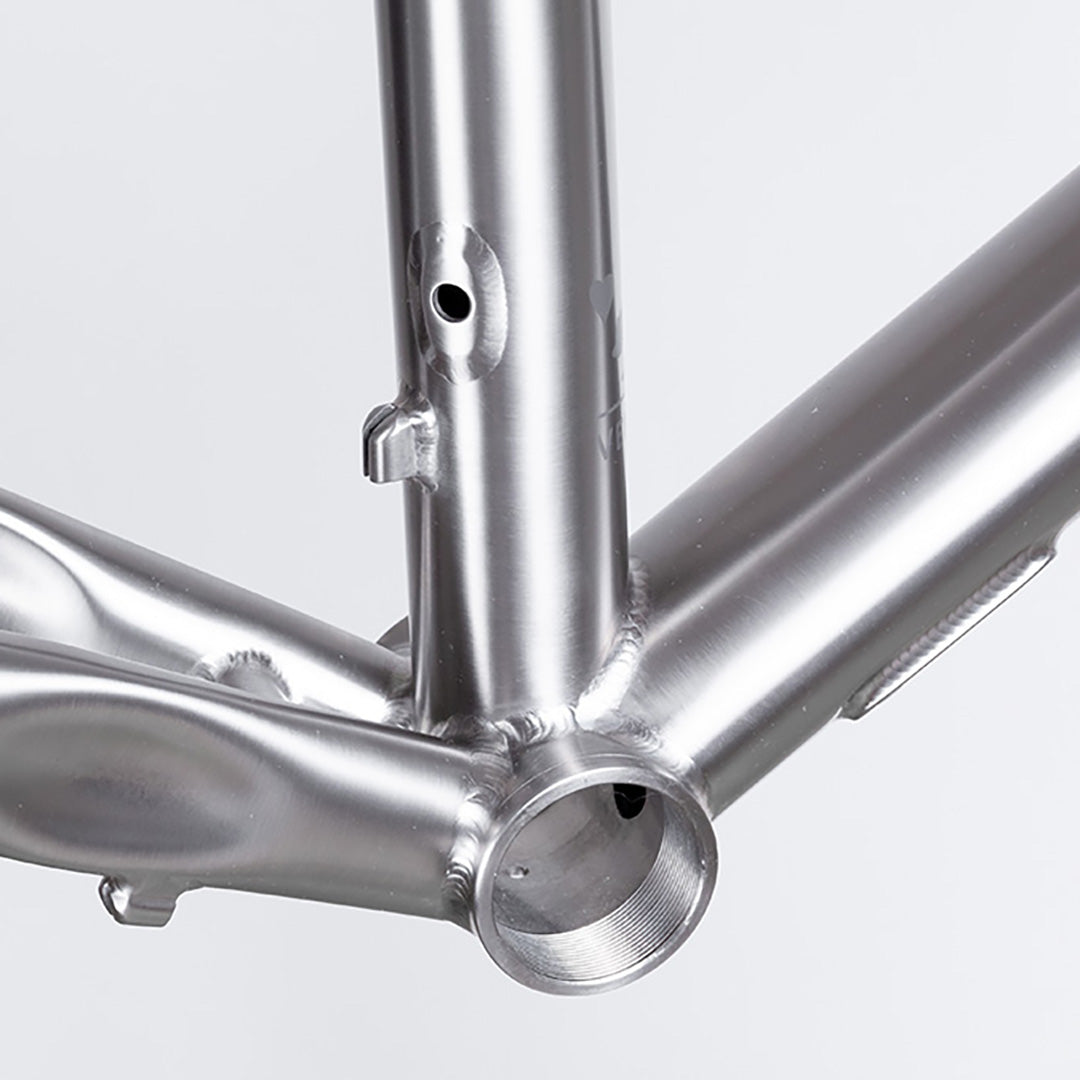 Stainless deals steel frameset