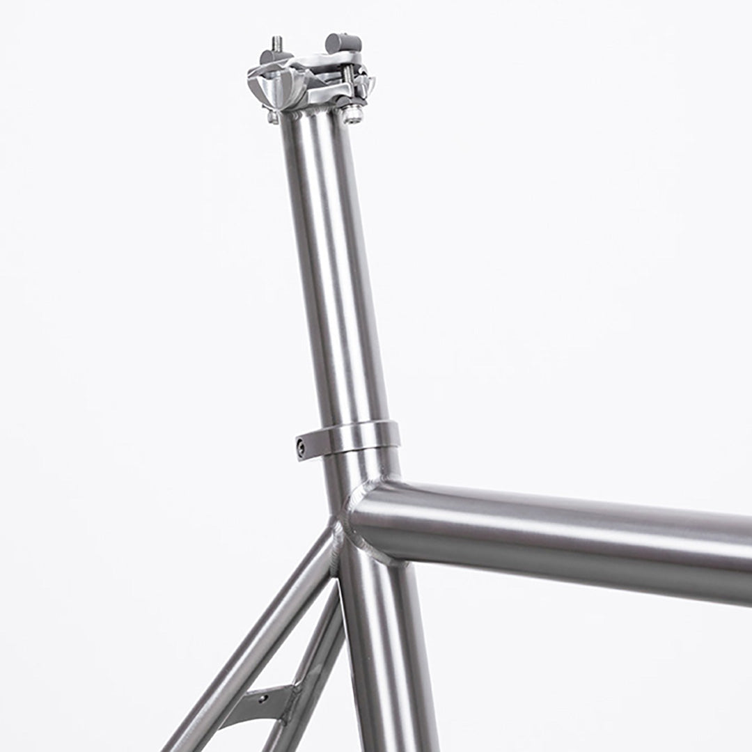 Titanium discount fixie frame